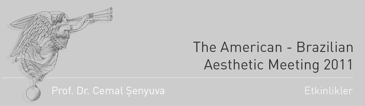 The American - Brazilian Aesthetic Meeting 2011